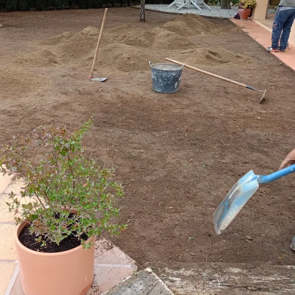 WhatsApp Image 2025-05-14 at 21.12.17