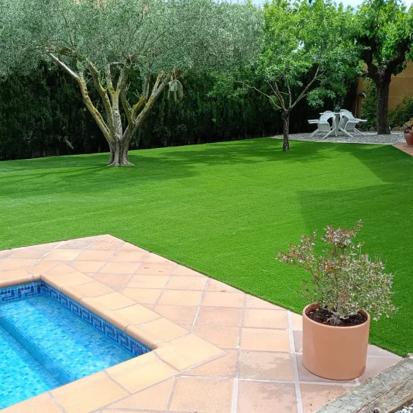 WhatsApp Image 2025-05-14 at 21.12.19 (1)