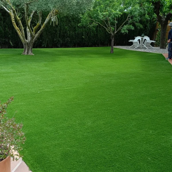 WhatsApp Image 2025-05-14 at 21.12.20