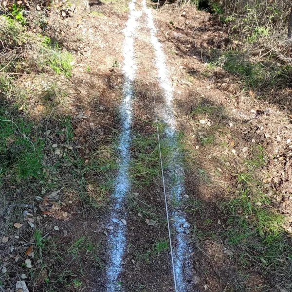 WhatsApp Image 2025-05-14 at 21.14.22