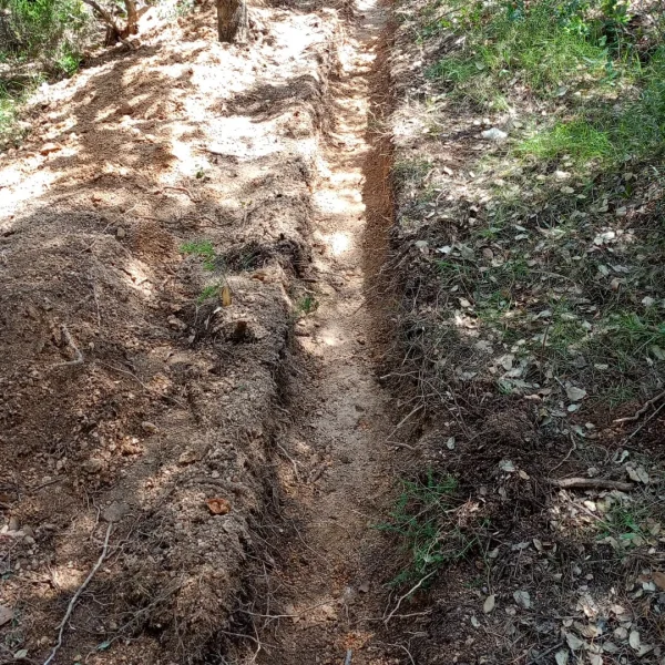 WhatsApp Image 2025-05-14 at 21.14.23