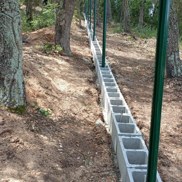 WhatsApp Image 2025-05-14 at 21.14.25 (2)