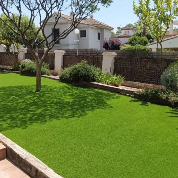 WhatsApp Image 2025-05-14 at 21.17.03 (1)