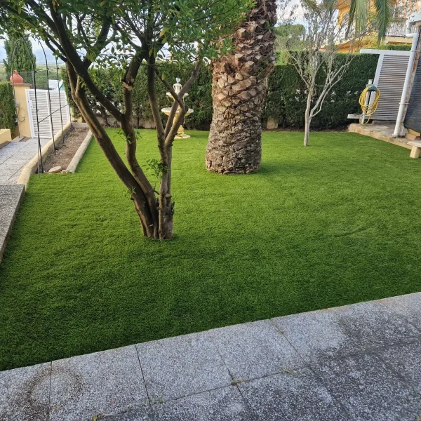 WhatsApp Image 2025-05-14 at 21.19.49